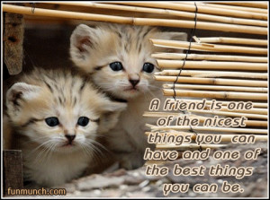 Friendship Poems And Quotes ecards