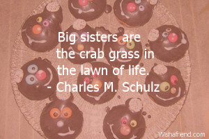 Big Sister Birthday Quotes Funny