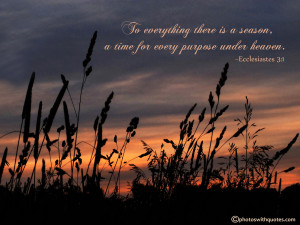 Bible Verse - To everything there is a season