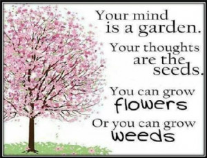 Your mind is a garden...