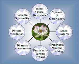 limbs of yoga in patanjali s yoga sutras the