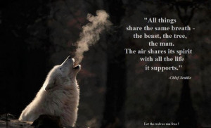 wolf spirit quotes - Google Search