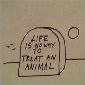 Uploaded to Pinterest