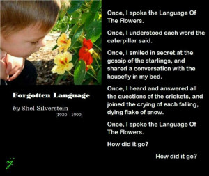 Funny Quotes Contact Us DMCA Notice