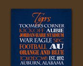 Auburn University Tigers: Pinned by SECfootball101.com