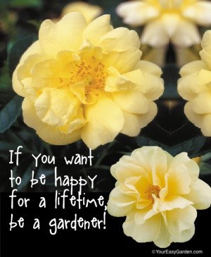Garden Quotes to Bring Cheer and Sooth the Soul