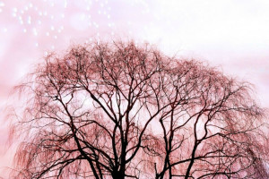 65 Soul Stirring Quotes That Will Change Your Life