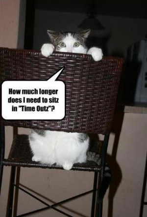 Funny Animals with Quotes .....ENJOY!!