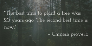 The best time to plant a tree was 20 years ago. The second best time ...