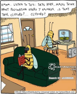 Bees cartoons, Bees cartoon, funny, Bees picture, Bees pictures, Bees ...