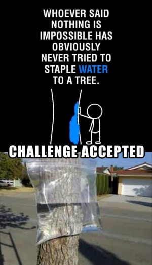 challenge-accepted-staple-water-to-a-tree