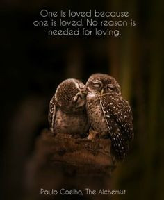 because one is loved. No reason is needed for loving.” ― Paulo ...