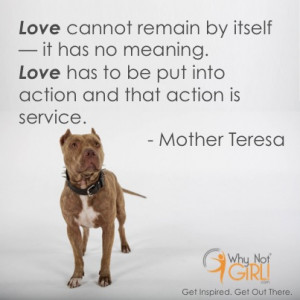 ... that action is service.” – Mother Teresa community service quote