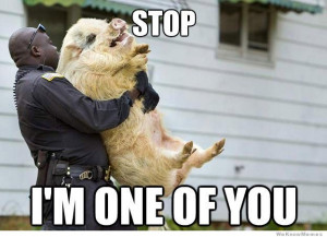 Arrested Pig meme – Stop I’m one of you