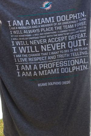 ... miami dolphins came up with a series of statements called the dolphins