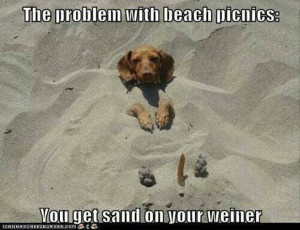funny weiner dog meme Monday Random Funny Pictures Gallery