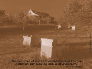 Bee Quote by Emily Dickinson photo by Heavenly Honey Apiary www ...