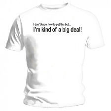 Anchorman Quotes Maxi Poster. NEW. Hilarious Ron Burgundy Banter