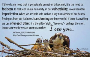 Jeff Brown quote - I See you