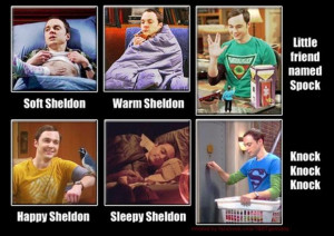 funny sheldon cooper pictures, soft kitty, knock, knock, knock