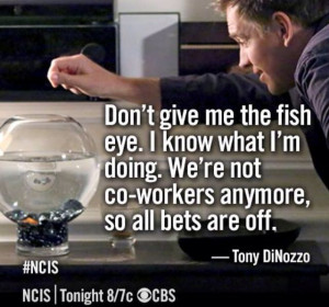 ... Tony DiNozzo to his fish, Kate about Ziva David. NCIS Season 11 quotes
