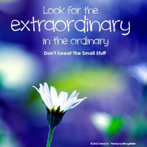 ... for the extraordinary in the ordinary.Don’t sweat the small stuff