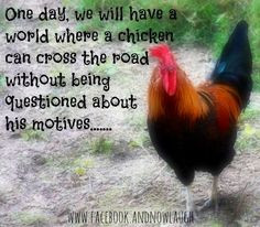 Do your #chickens cross the road? More