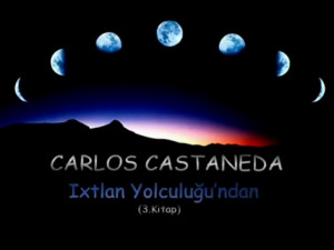 Carlos Castenada Quotes Look At Every Path Closely And Deliberately ...