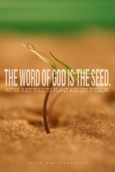 ... , God Quotes, Christian Quotes, Bible Folder, God Jesus, Bible Verses