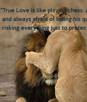 True Love is like playing chess. A boy plays and always afraid of ...