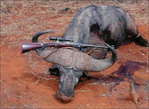 Home | Ezine | Forums | Links | Contact