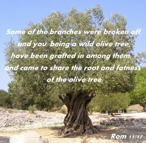 ... YAHUSHUA IS THE ROOT COME AND BE GRAFTED IN ~ RESTORATION IS YOURS