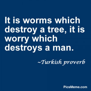 It Is Worms Which Destroy a Tree, It Is Worry Which Destroys a Man