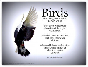 120520.Bob.Tukaram.TumblerPigeon.km