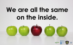 Bullying Awareness and Prevention Week: November 18 to 22