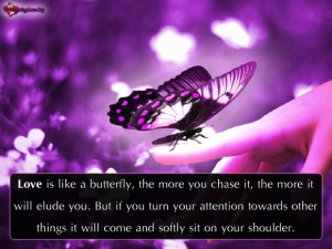 ... .Org - love, butterfly, chase, elude, inspirational, other, unknown