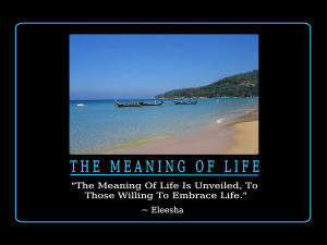 Meaning Of Life Quotes