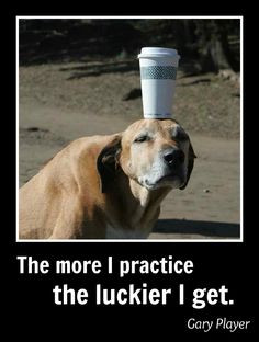 The more I practice the luckier I get. - Gary Player More