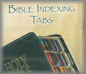 ... Great Adventure Bible Timeline learning system. Instructions included