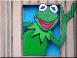 Scott Kermit The Frog