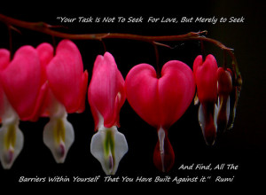 Bleeding Heart by pixelquotes