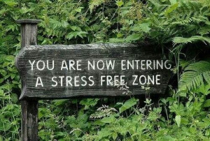 Stress free zone...