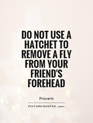 hatchet to remove a fly from your friend 39 s forehead Picture Quote 1