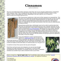 Growing Cinnamon