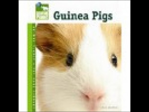 Guinea Pigs Pet Care Book (Hardcover)
