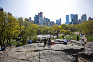 Photo of Central Park, New York City © Rob Boudon
