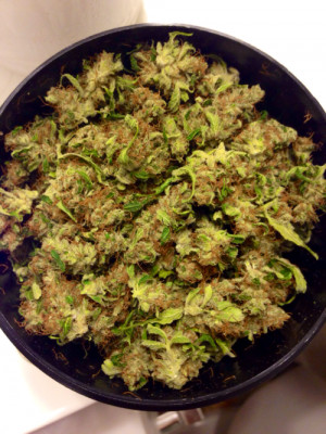 Oz of Tangerine Haze。