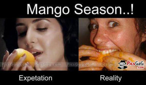... quotes about mangoes funny quotes on mangoes hindedialogues funny