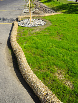 Erosion Control Soil Solutions
