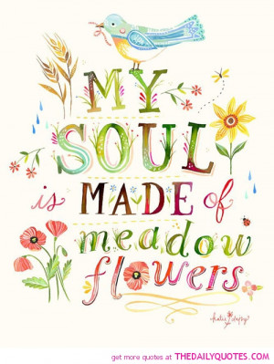 soul-made-of-meadow-flowers-katire-daisy-quotes-sayings-pictures.jpg